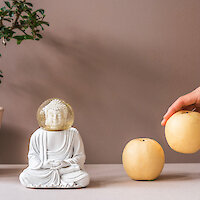 Donkey Products - erhältlich bei kuntschule.design Berlin | Möbel, Licht und Accessoires | Donkey Products bei kunstschule.design